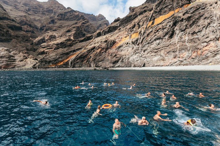 Adeje: Whale and Dolphin Watching with Lunch and Swimming4.5-Hour Cruise with Lunch and Drinks Masca Los Gigantes