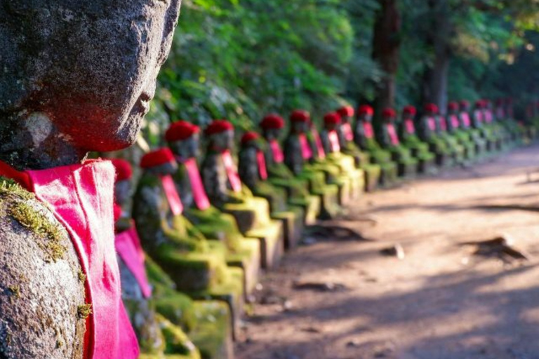 From Tokyo: Nikko UNESCO Sites Private English Guided Tour
