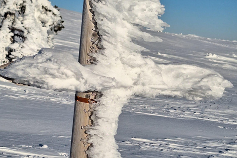 Levi: Snowshoeing Adventure in Arctic Shaman Village