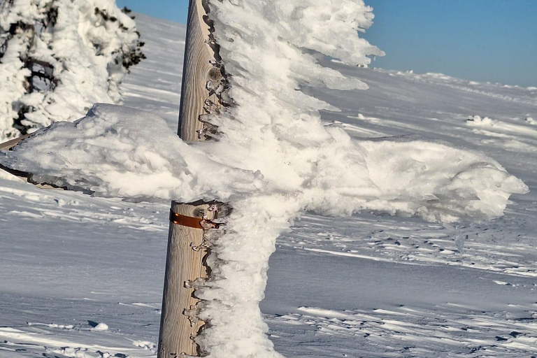 Levi: Snowshoeing Adventure in Arctic Shaman Village