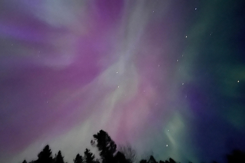 Banff Night Sky: Northern Lights and/or Stargazing Tour