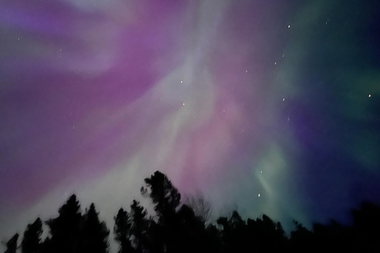 Banff Night Sky: Northern Lights and/or Stargazing Tour