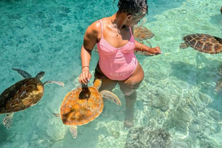 Zanzibar: Jozani forest and Salaam Cave Swim with turtles