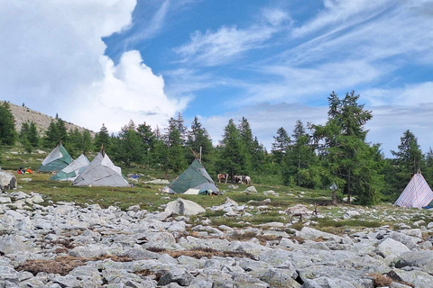 Ulaanbaatar: 9-Day Northern Mongolia Reindeer Adventure