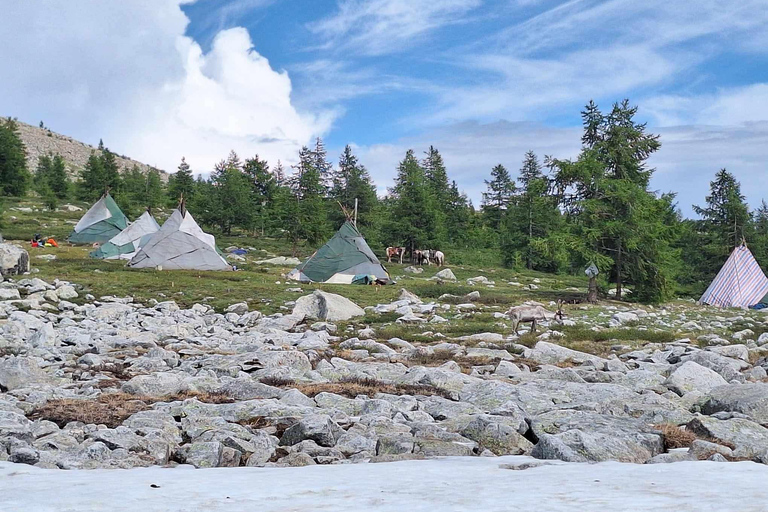 Ulaanbaatar: 9-Day Northern Mongolia Reindeer Adventure