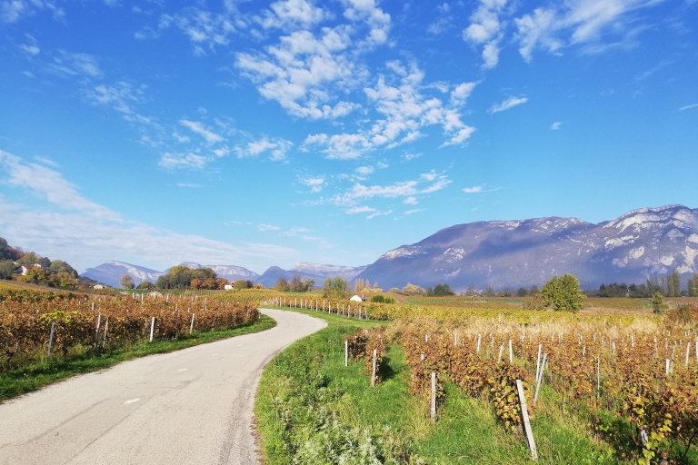 Ruta del Vino 10 horas con chófer privado desde Chamonix