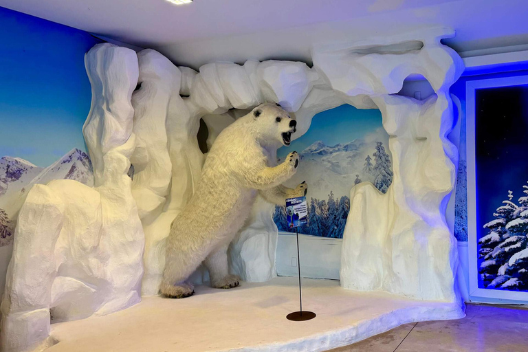 Foz do Iguaçu: Dreams Park Show Ice Bar Entry & Drinks