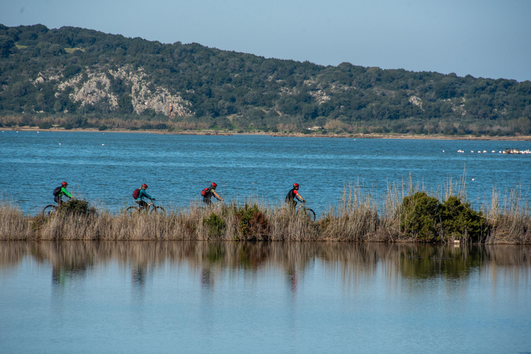 Gialova: Tour in E-Bike della Baia di Navarino con bagno nella cascata