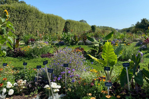 Paris: Latin Quarter Highlights Walking Tour in 1h30 Upgrade to Private Tour - 2h Option