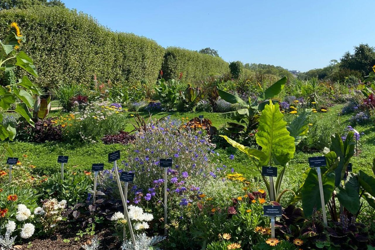 Paris: Latin Quarter Highlights Walking Tour in 1h30 Upgrade to Private Tour - 2h Option