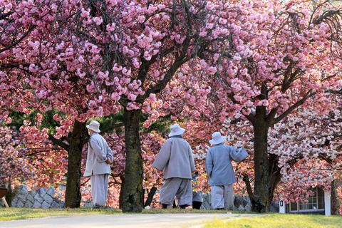 Busan: Gyeongju UNESCO Highlights 6 Hours Express Tour Shared Tour, Meet at Haeundae Station