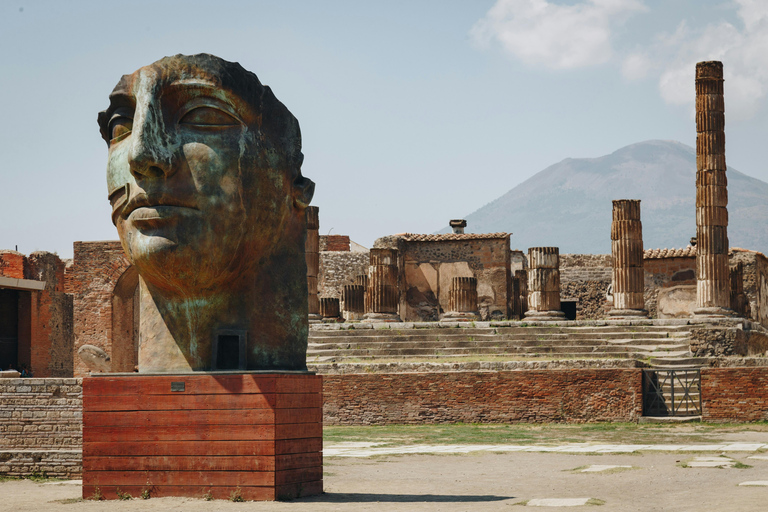 Pompei Guided Tour in Shared Formula Pompei Guided Tour (Sharing Formula- No Ticket Included)