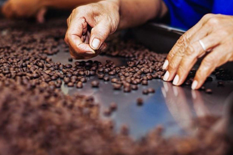 Arequipa: Pillones Waterfall & Chocolate Workshop Tour