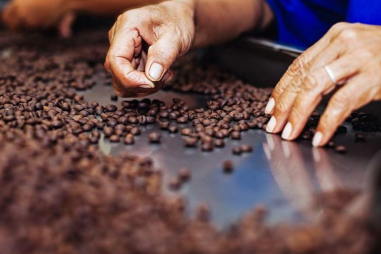 Arequipa: Pillones Waterfall & Chocolate Workshop Tour