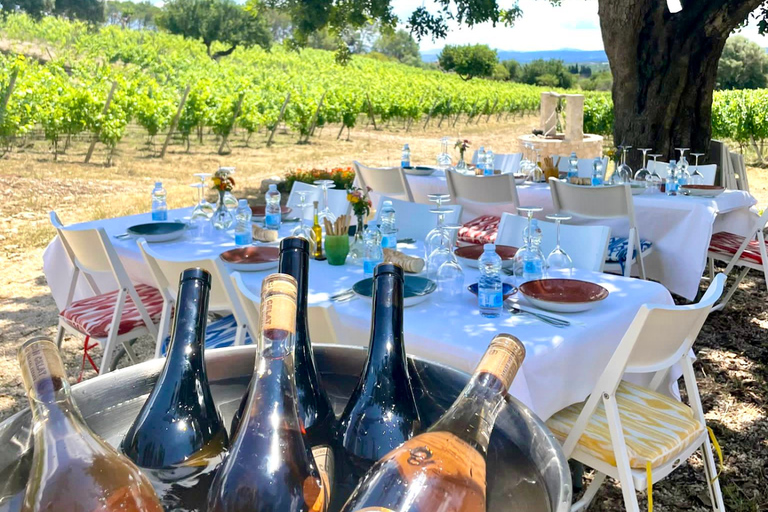 Mallorca: Wine Tasting, Vineyard Tour & Luxury Tapas