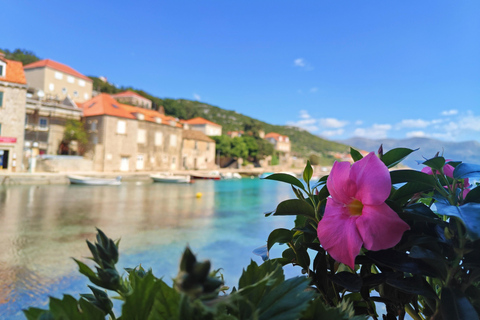 دوبروفنيك: جولة بالقارب ليوم كامل في الكهف الأزرق وجزر إلافيتي