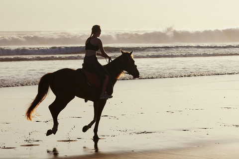 Abu Dhabi: Peaceful Beach Horseback Ride Experience