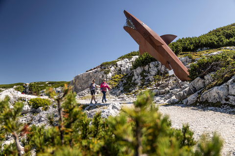 Dachstein Krippenstein: All-in-One Ticket