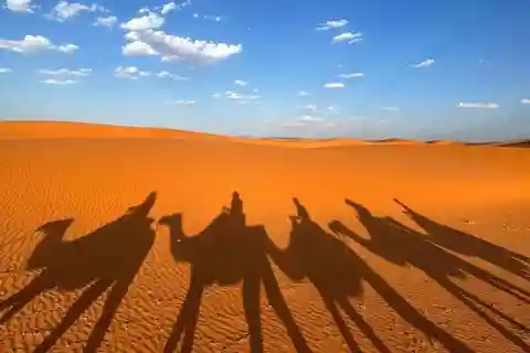 Au départ de Fès : aventure épique de 3 jours dans le désert du Sahara jusqu'à Marrakech
