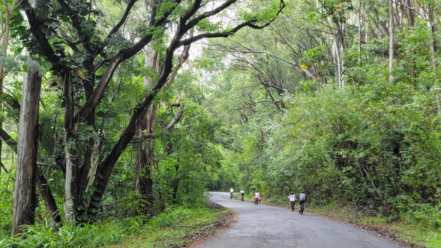 E-BIKE Honolulu Rainforest: 10-Miles of Smiles w/epic views