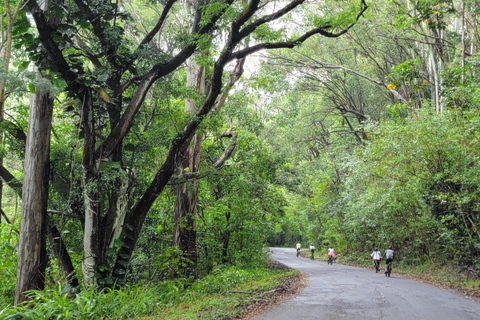 E-BIKE Honolulu Rainforest: 10-Miles of Smiles w/epic views