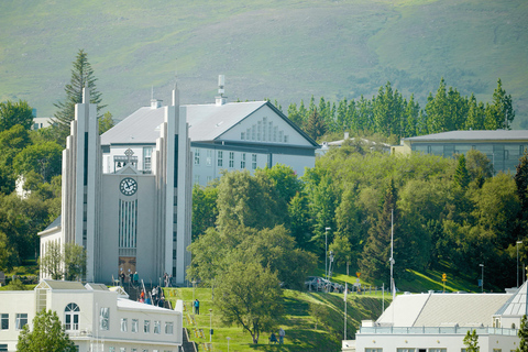 Från Akureyri hamn: Stadsvandring och lokal matFrån Akureyri hamn: Stadsvandring med provsmakning av lokal mat