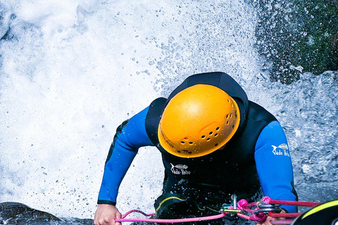 Queenstown: Gibbston Valley Half-Day Canyoning Adventure