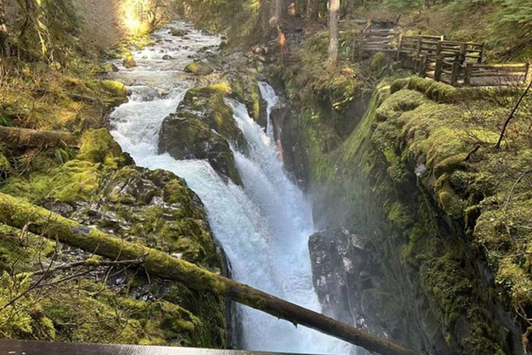 Small Group: Olympic Park & Forks Day Trip From Seattle