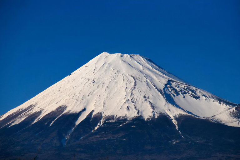 Tokyo, Mt. Fuji, Kyoto, Osaka: 7-Day Private Tour of Japan