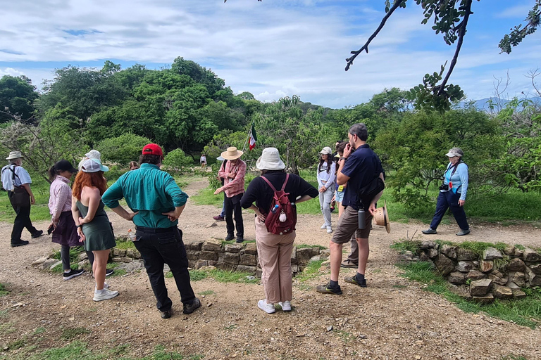 Oaxaca: Odkryj Monte Albán i targi w OaxacaOaxaca: Odkryj Monte Albán i smaki targowisk