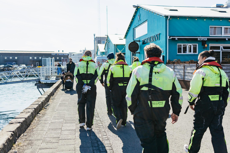 Reykjavik : Tour en bateau pour observer les baleines