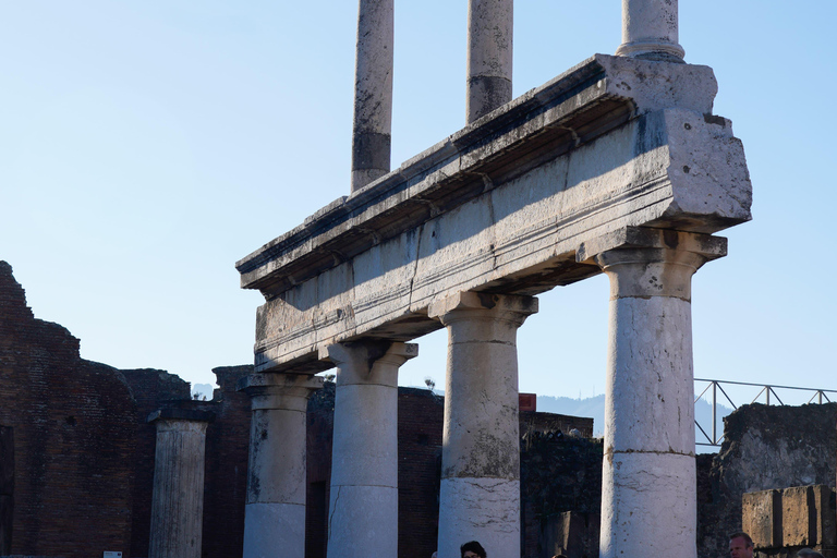 From Sorrento: Pompeii Skip-the-Line, Train Tkt & Tour