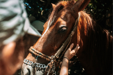 Santa Marta: Horseback Riding to the Valencia Waterfalls in Tayrona National Park
