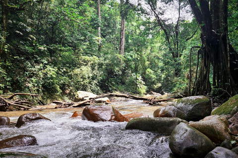 Medellín: Jungle Trekking, Waterfall Swim, & Coffee Tour