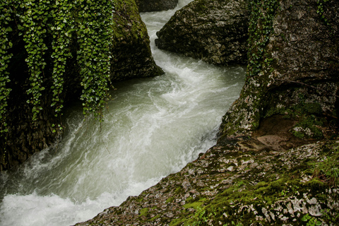 Alpine Escape: Partnach Gorge, Lake Eibsee and Zugspitze in French Classic Option: Partnach, Garmisch, and Lake Eibsee