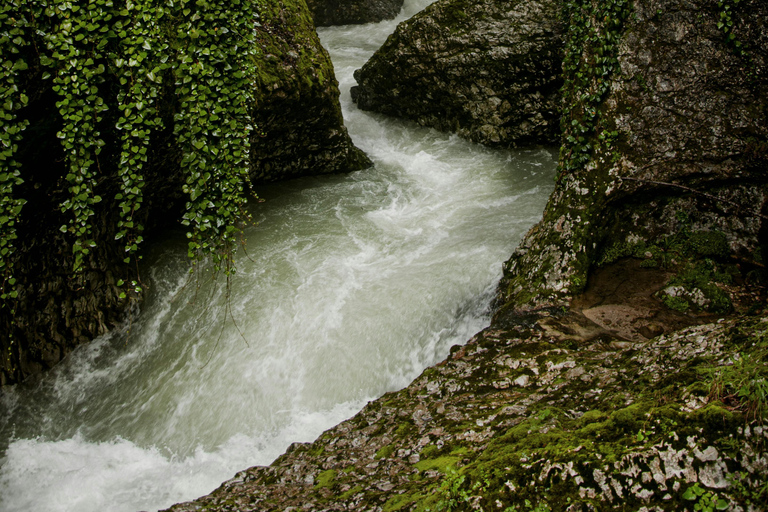 Alpine Escape: Partnach Gorge, Lake Eibsee and Zugspitze in French Classic Option: Partnach, Garmisch, and Lake Eibsee