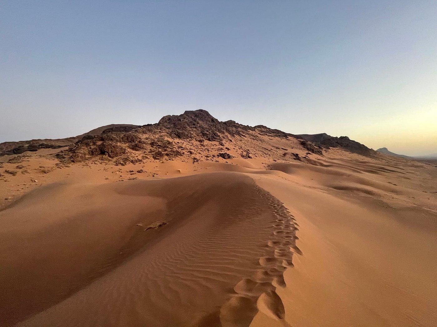 Von Ouarzazate: 2-Tages-Ausflug in die Zagora-Wüste