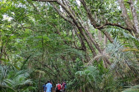 FROM NUNGWI/KENDWA:STONE TOWN, PRISON ISLAND & JOZANI FOREST Private tour include hotel pick up and drop off