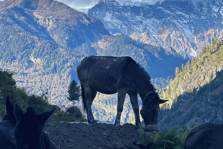 Manaslu Trek - 14 dias Larke La Pass: De KathmanduManaslu Trek - 14 dias Larke La pass com guia