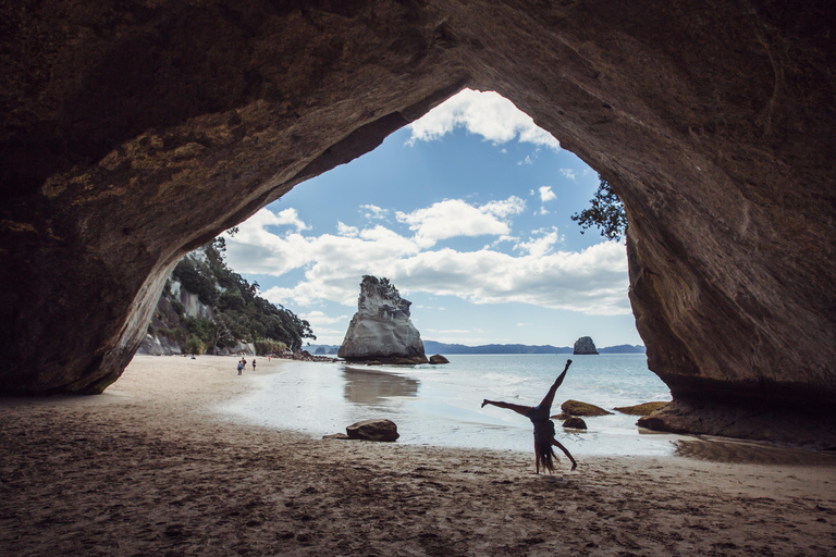 National "Funky Chicken" Hop-On Hop-Off Bus Pass New Zealand: North and South Island Funky Chicken Bus Pass