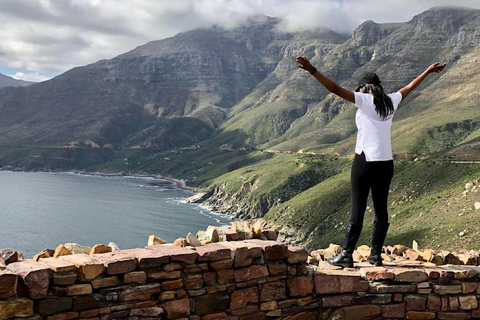 Visite des jardins de Kirstenbosch, des manchots de Bo-Kaap et de la péninsule du Cap