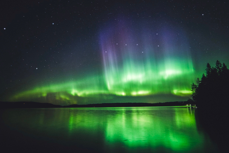 Rovaniemi: Excursão à aurora boreal com observação garantidaRovaniemi: tour da aurora boreal com avistamentos garantidos