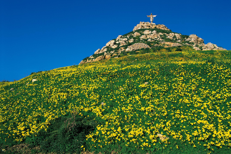 Gozo-dagpas(Copy of) Gozo-dagpas van en terug naar Bugibba op Malta