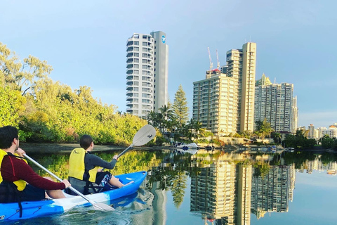 Costa Dorada: Excursión en kayak al atardecer a la Isla Macintosh