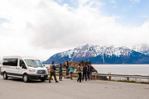 Anchorage: Mount Alyeska Tram & Wildlife Center Tour