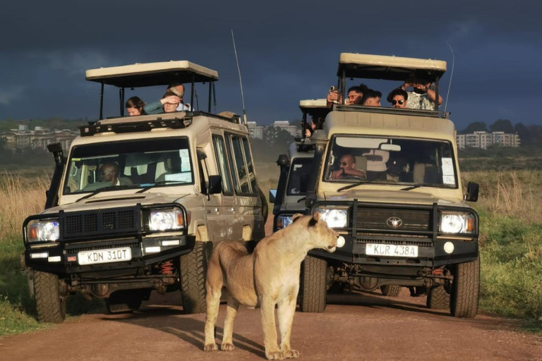 Nairobi: Sunrise Safari with Bush Breakfast At NNP