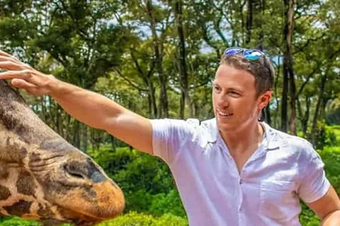 Nairobi: Guided Giraffes Centre & Karen Blixen Museum Tour. Nairobi: Karen Blixen Museum Guided Tour .