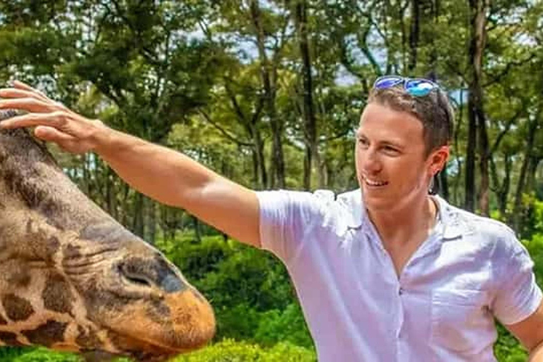 Nairobi: Guided Giraffes Centre & Karen Blixen Museum Tour. Nairobi: Karen Blixen Museum Guided Tour .