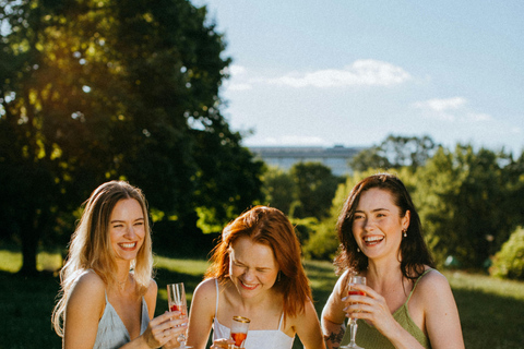 Half Day Vineyards & Wine Tasting from Aix en Provence Prestigious Vineyards Guided Tour with Tastings