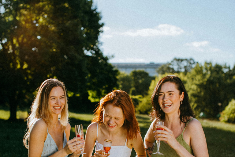 Half Day Vineyards & Wine Tasting from Aix en Provence Prestigious Vineyards Guided Tour with Tastings